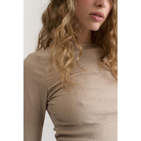 Zinnia - Imagen 2